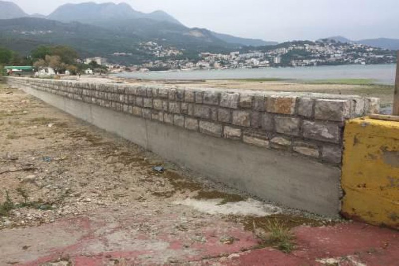 Revitalizacija- Borova šuma