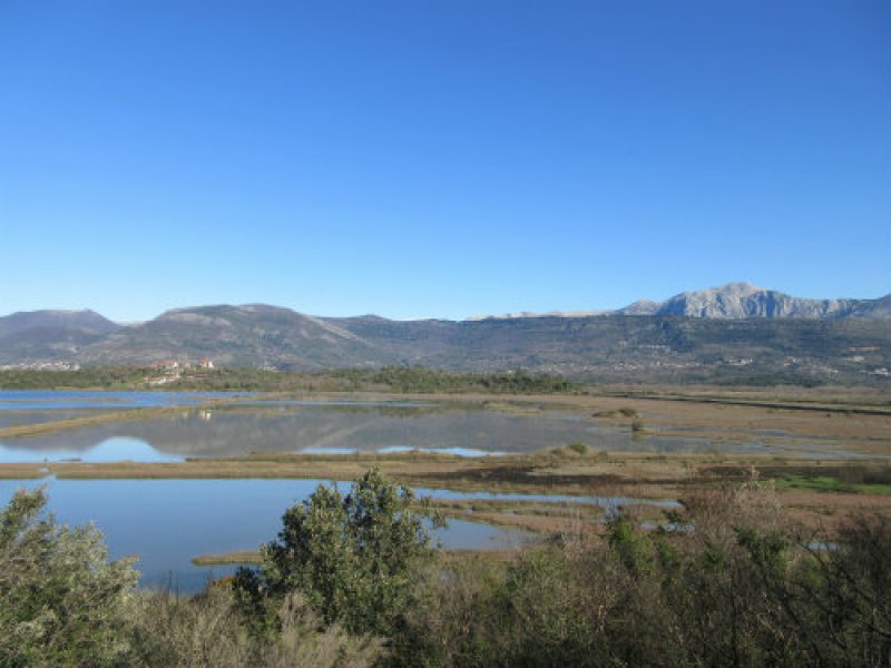 SAOPŠTENJE POVODOM OBILJEŽAVANJA SVJETSKOG DANA VLAŽNIH STANIŠTA