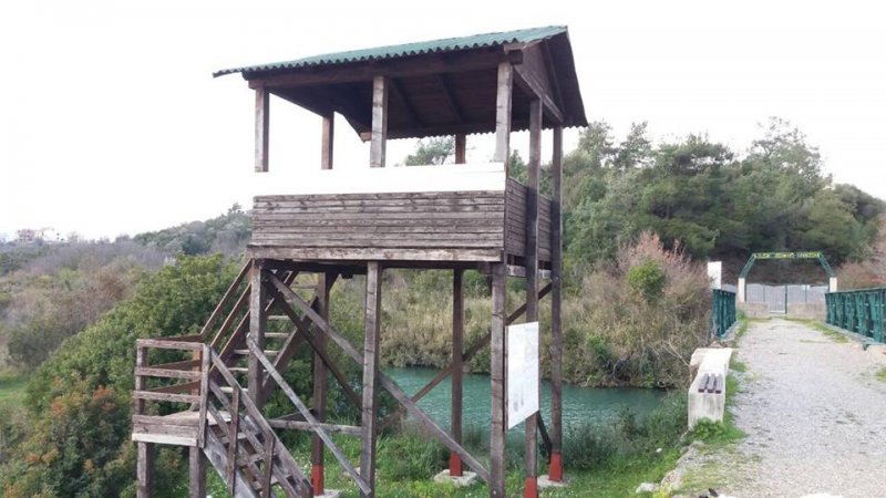 Počelo uređenje specijalnog rezervata “Tivatska Solila”