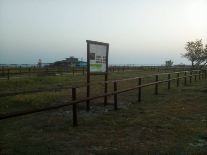 ZAŠTITA I OGRAĐIVANJE PJEŠČANIH DINA  NA PODURUČJU VELIKE ULCINJSKE PLAŽE U ZALEĐU PLAŽA „TONI GRIL“ I „MIAMI“