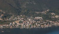Đenovići
