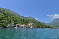Kostanjica