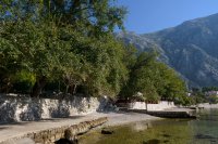 Orahovac