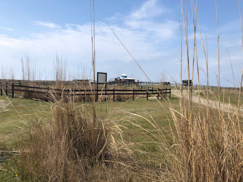 Zaštita ekosistemskih usluga - dine na Velikoj plaži