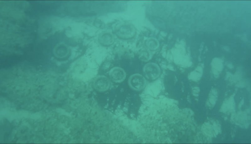 Organizovane akcije uklanjanja otpada iz mora i iz morskih pećina na području Parkova prirode „Platamuni“, „Katič“ i „Stari Ulcinj“ 